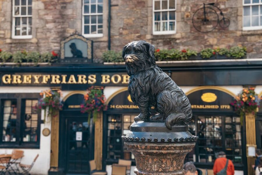 Edinburgh: Old Town History and Tales Walking Tour - Who will enjoy this Old Town walk?