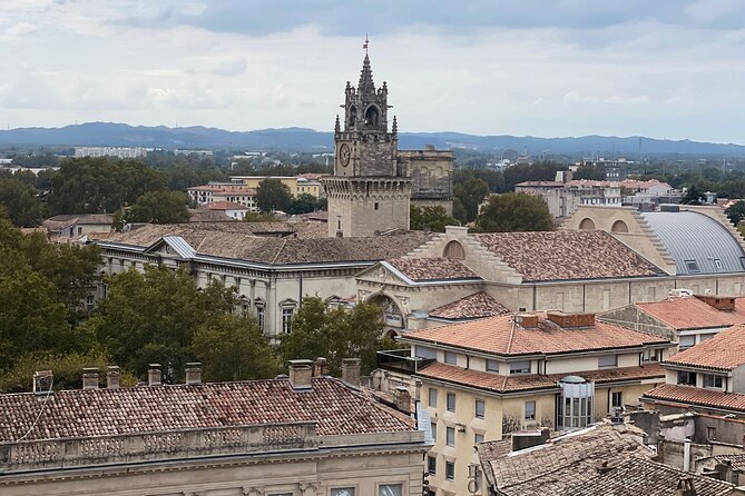 Enchanting Historical Walking Tour in Avignon - The Petit Palais for art lovers