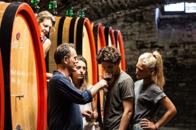 EXCLUSIVE – Wine Tasting near Florence with Castle and Ancient Cellars Tour