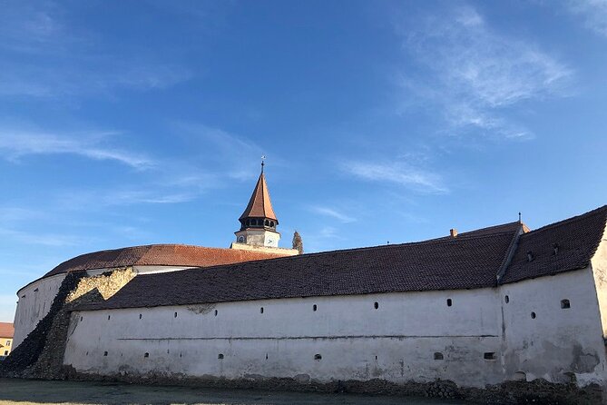 Experience the History of Bran Castle and Saxon Fortifications in Burzenland - Who should book this experience