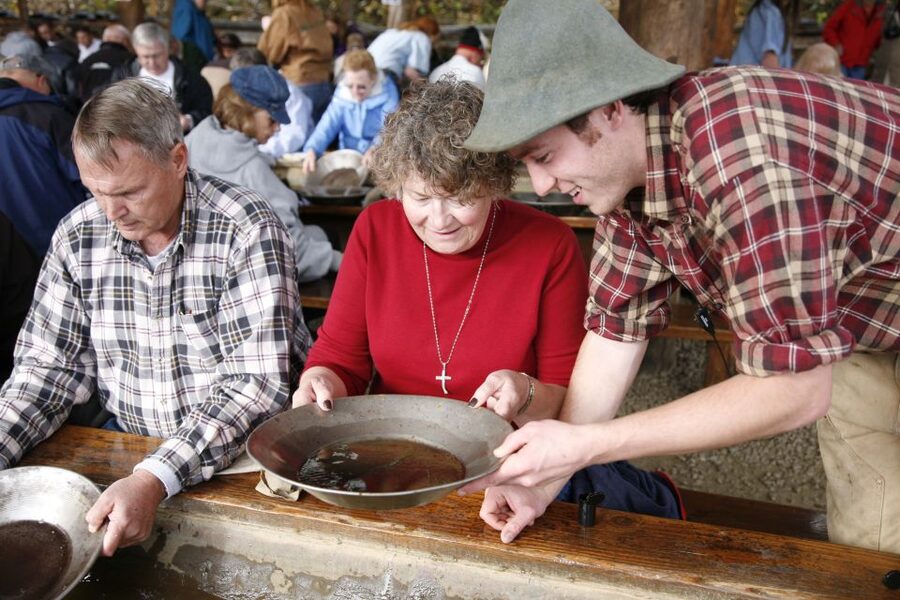Fairbanks: Gold Dredge 8 Historic Train Tour - Gold panning: the hands-on payoff