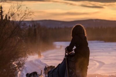 Fairbanks: Private Mush on the Historic Yukon Quest Trail