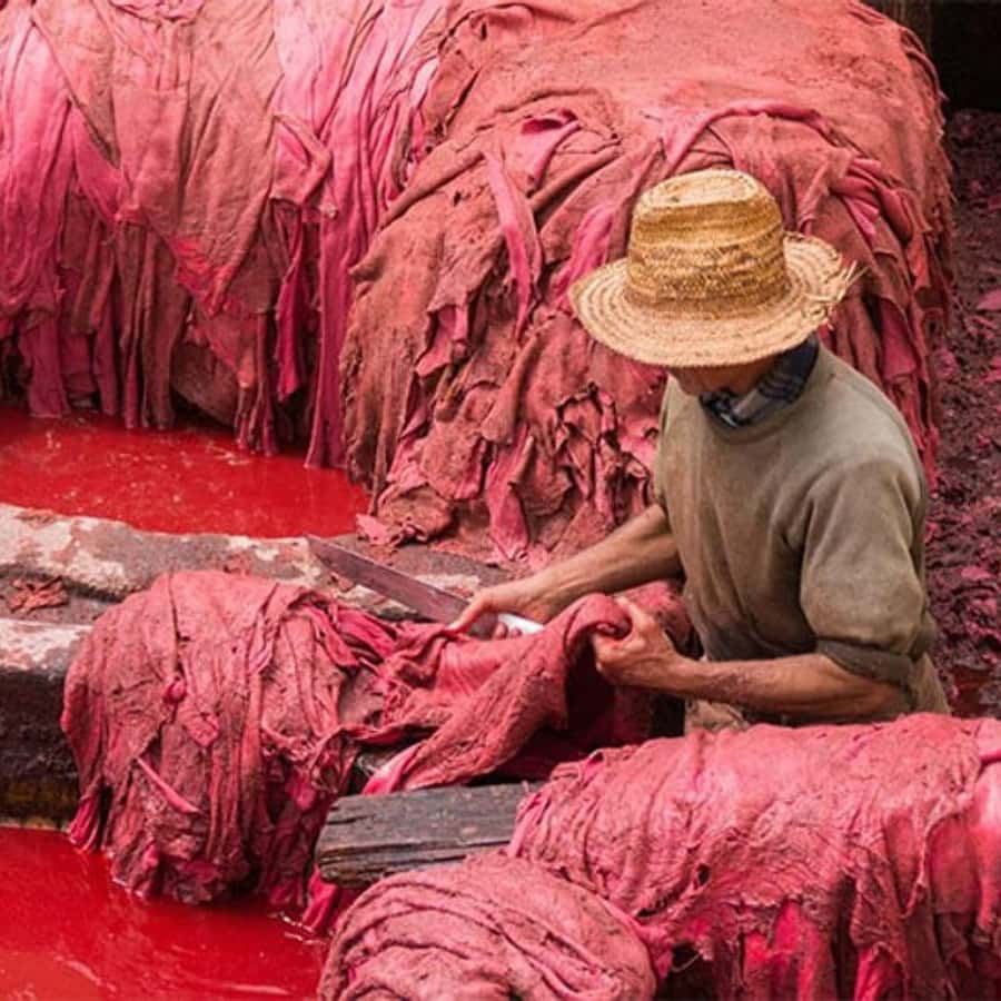 Fes: A Guided Walking Tour Through the Historic Medina - Chouara Tannery and the smell of working leather