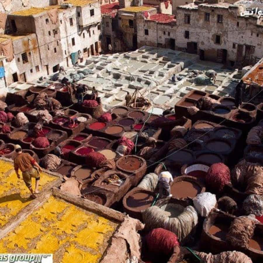 Fez: Guided Walking Tour of the Historic Medina - Is $22 good value?