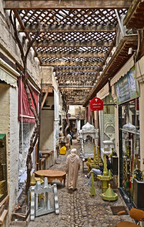 Fez: Walking Tour in the Ancient City of Fez - The tanneries and the working medina