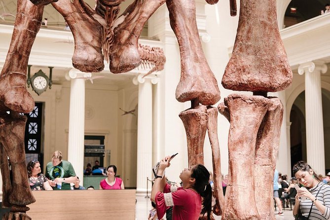 Field Museum of Natural History Admission Tickets - What the $29 admission includes