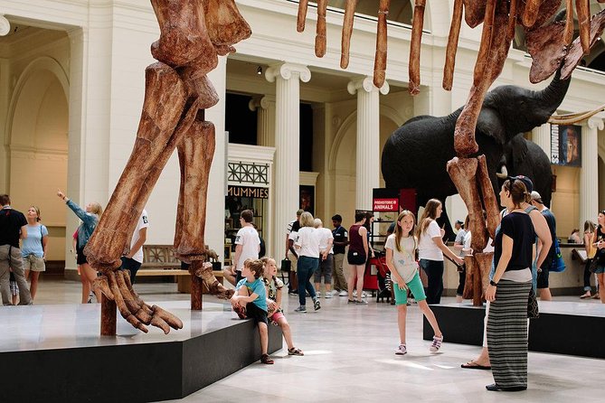 Field Museum of Natural History Admission Tickets - Inside Ancient Egypt, with 23 mummies