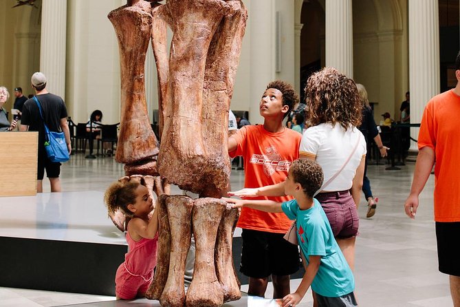 Field Museum of Natural History Admission Tickets - Jade, gems, skeletons, and the museum’s quieter pleasures