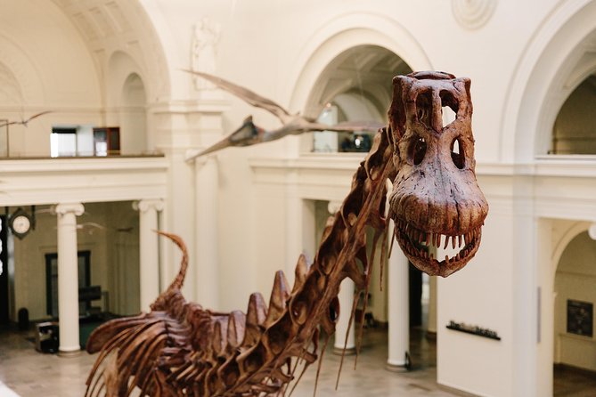 Field Museum of Natural History All-Access Pass - What the $41 All-Access Pass really buys you
