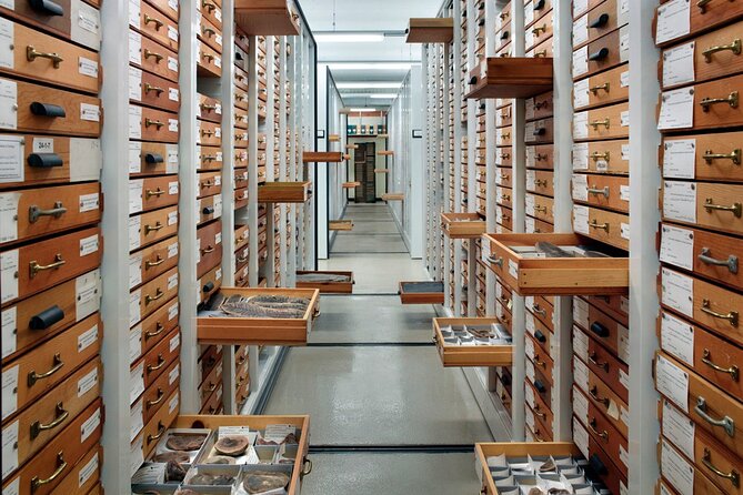 Field Museum of Natural History Early Access Ticket - What happens after the guided hour