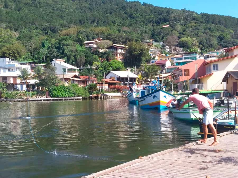 Florianópolis: Historical Center, Beach & Nature Tour - Hercílio Luz Bridge and the island view