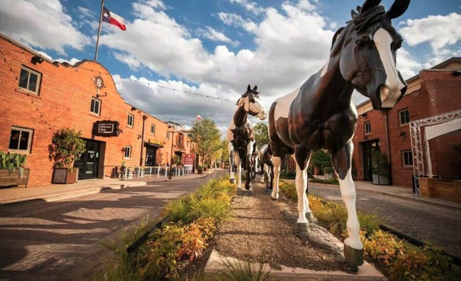 Fort Worth: Stockyards History Tour Pub Crawl - The 15-minute introduction: cattle trails and rough reputations