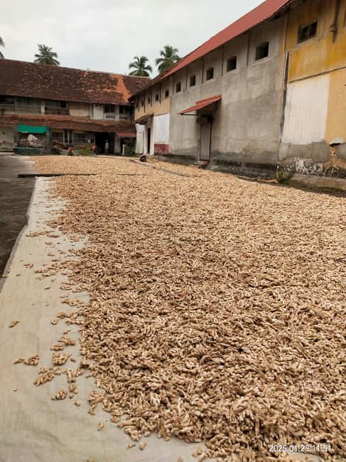 Fortkochi Heritage Walking tour with a local guide - Getting between Fort Kochi and Mattancherry