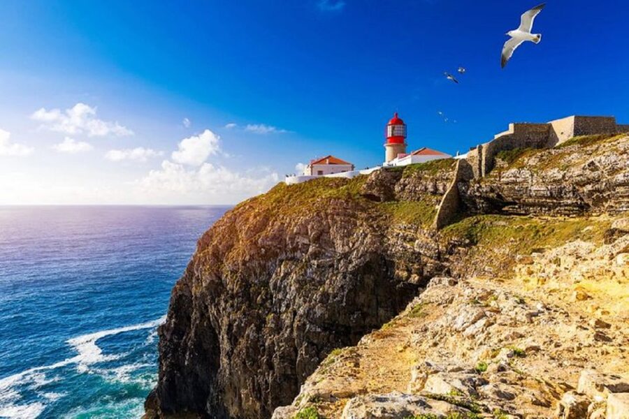 From Albufeira: Historical Algarve Region Tour - Lagos, lunch, and Portugal’s maritime past