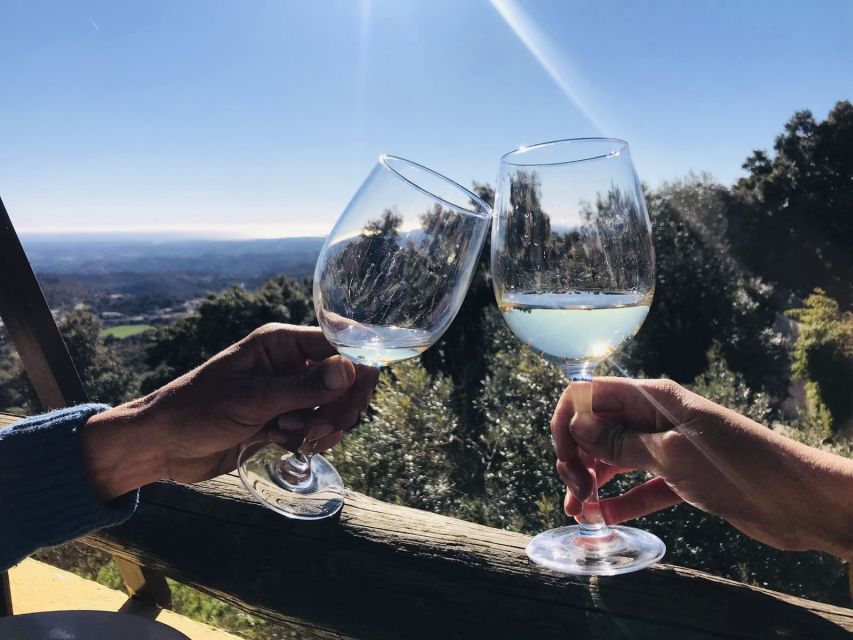 From Albufeira: Wine Tasting & Historic Silves Tour - Key points at a glance