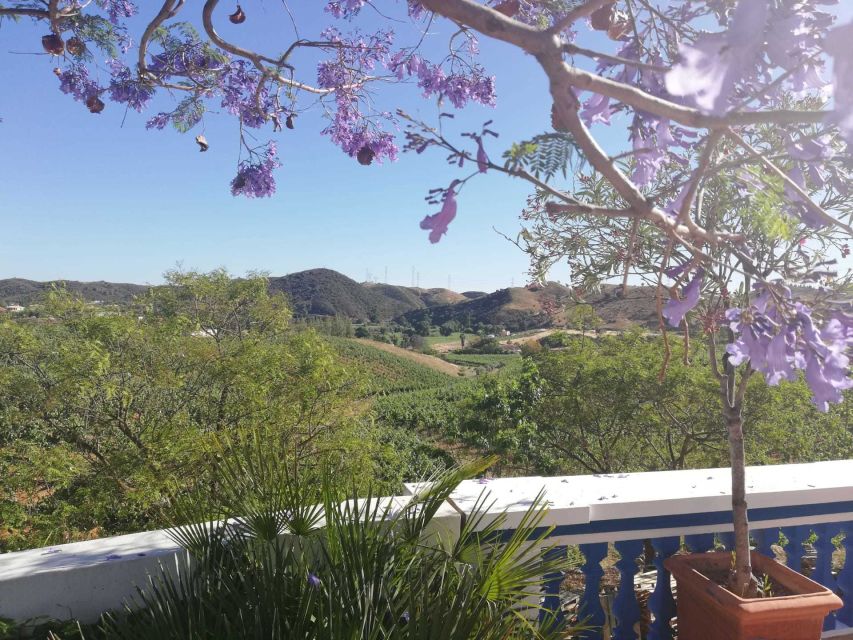 From Albufeira: Wine Tasting & Historic Silves Tour - Making the most of 30 minutes in Silves