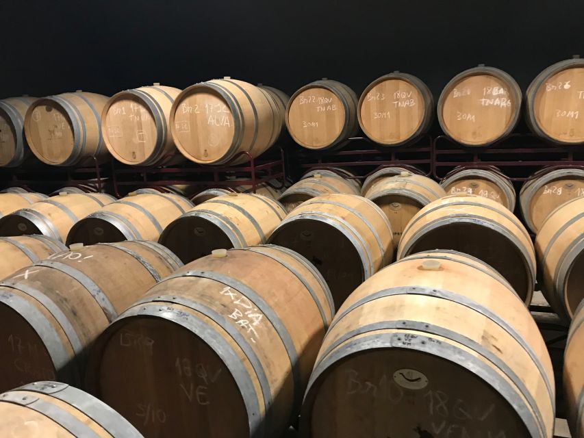 From Albufeira: Wine Tasting & Historic Silves Tour - Tasting three wines with Algarve snacks