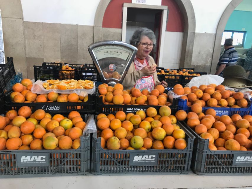 From Albufeira: Wine Tasting & Historic Silves Tour - The guides make the difference