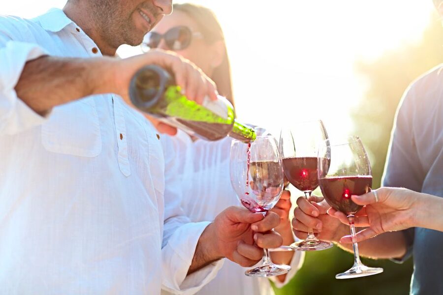 From Albufeira: Wine Tasting & Historic Silves Tour - Timing, comfort, and the real value of $76