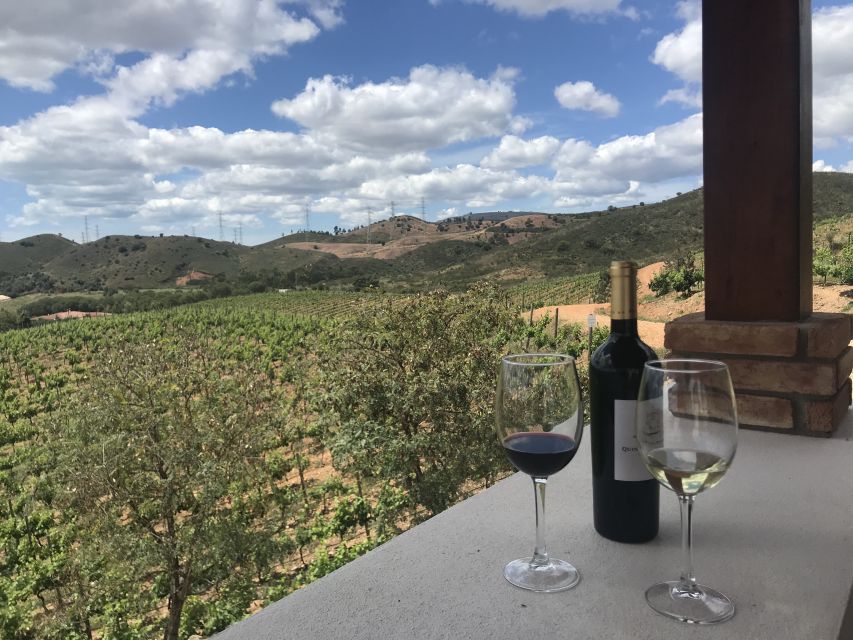 From Albufeira: Wine Tasting & Historic Silves Tour - Who should book this experience