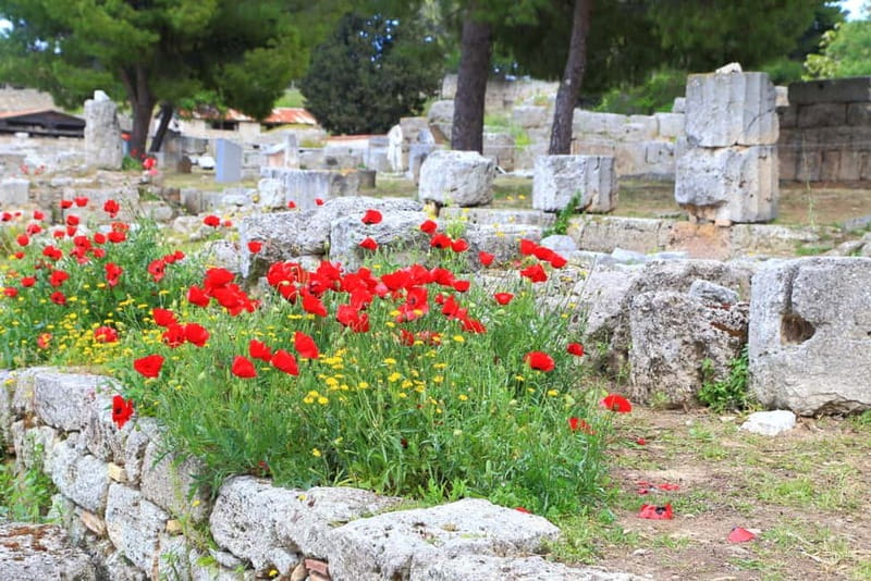 From Athens: Explore Ancient Corinth & Charming Nafplion - Transport and timing: useful comfort, little slack