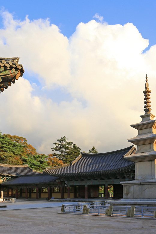 From Busan: Echoes of Silla Gyeongju Historical Day Tour - Key points to know before booking