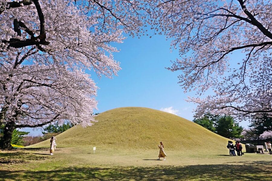 From Busan: Echoes of Silla Gyeongju Historical Day Tour - What the $64 price includes, and what it does not