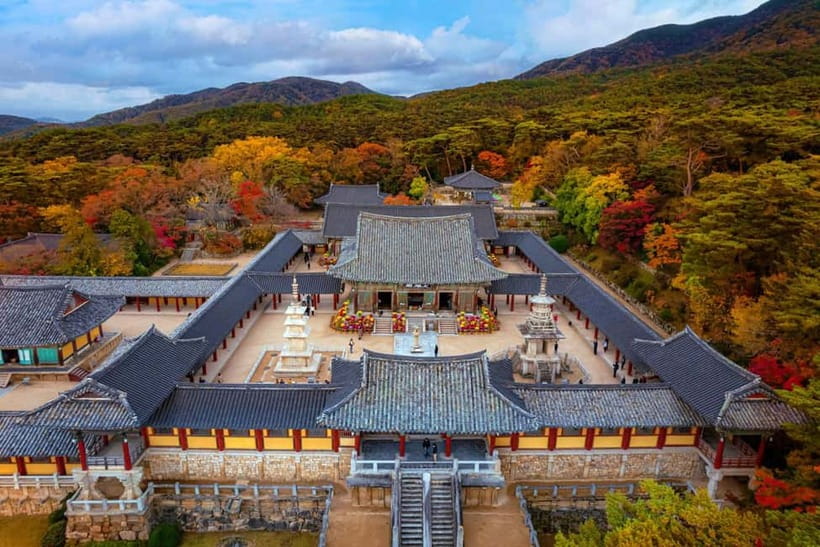 From Busan: Echoes of Silla Gyeongju Historical Day Tour - Daereungwon makes ancient tombs easy to understand