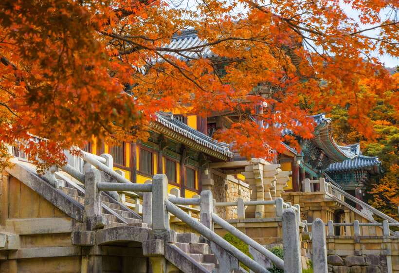 From Busan: Gyeongju UNESCO World Heritage Guided Day Tour - Bulguksa Temple: the day’s grand opening