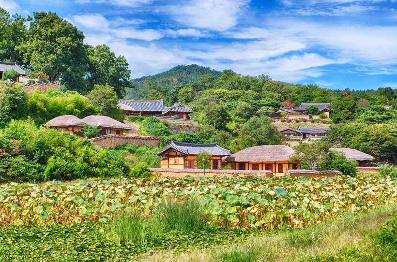 From Busan: Gyeongju UNESCO World Heritage Guided Day Tour - Yangdong or Gyochon: two different views of Korean tradition