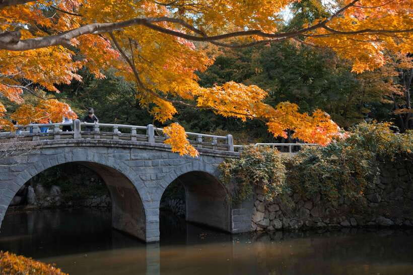 From Busan: Gyeongju UNESCO World Heritage Guided Day Tour - Daereungwon and Cheonmachong: royal tombs without the usual museum walls