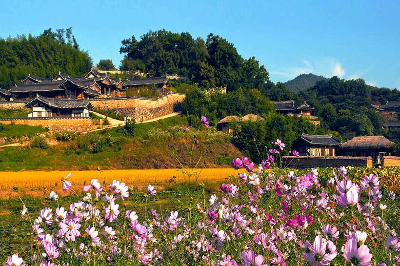From Busan: Gyeongju UNESCO World Heritage Guided Day Tour - Woljeong Bridge and Donggung Palace after sunset