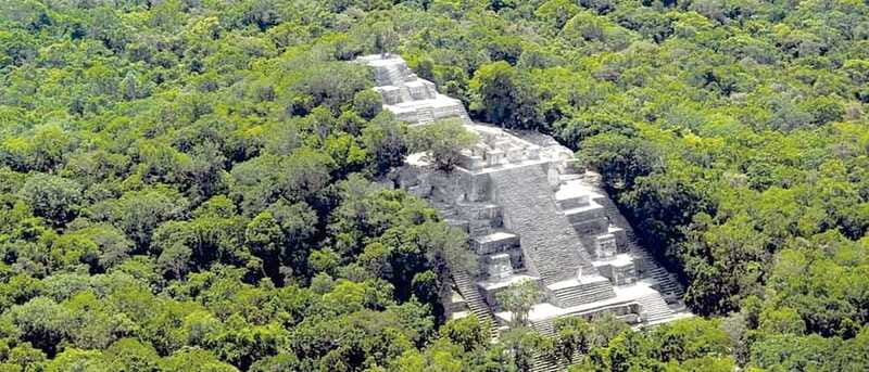 From Campeche: Calakmul Guided Nature and History Day Trip - Birdwatching and the forest walk