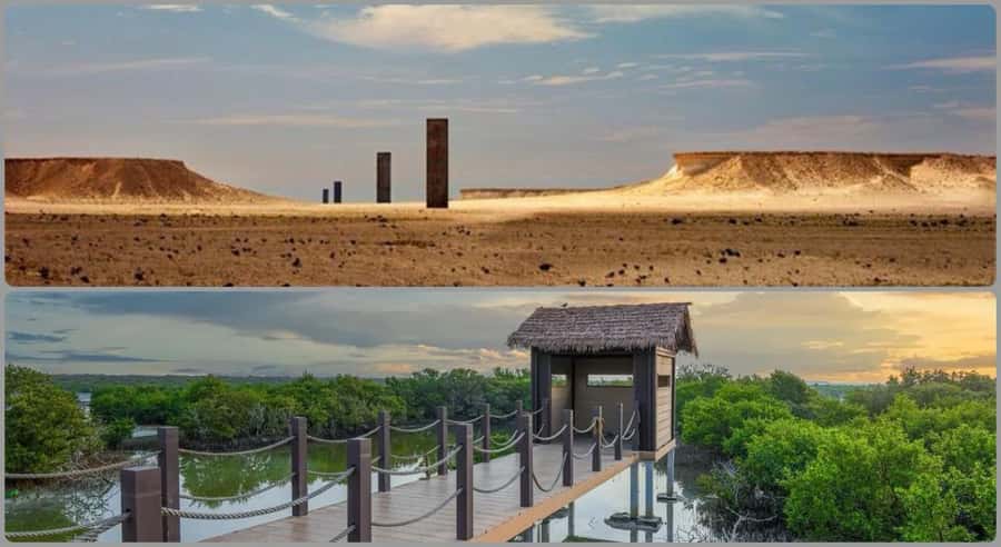 From Doha: Culture & History Qatar Tour to the North & West - Key points before you book