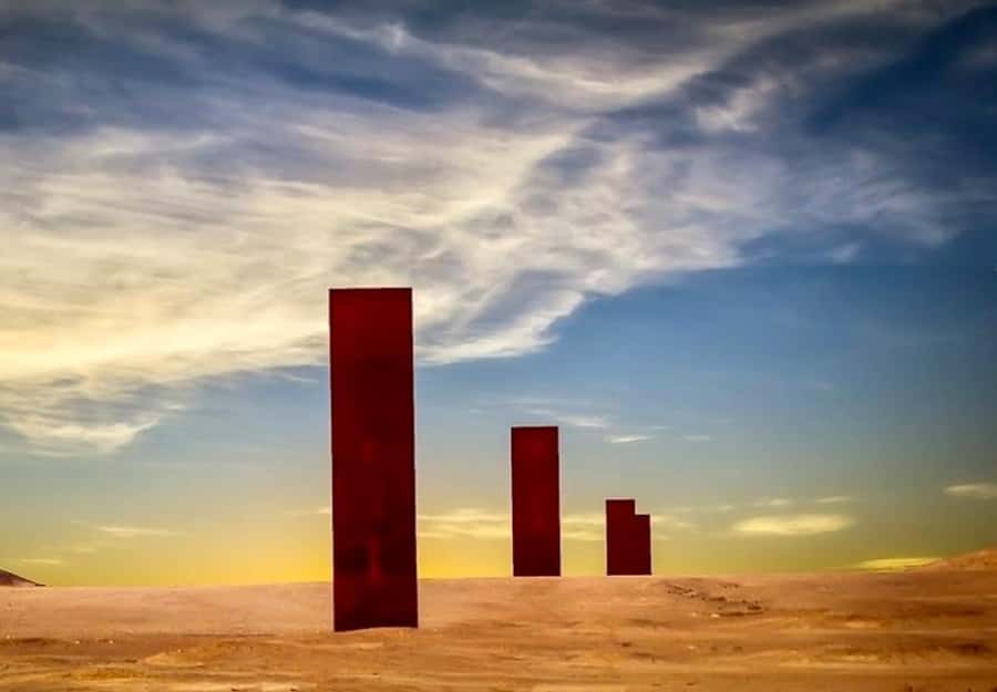 From Doha: Culture & History Qatar Tour to the North & West - Camel country at Al Shahaniya
