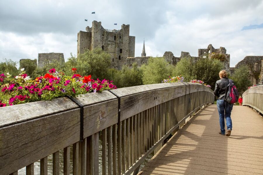 From Dublin: Celtic Boyne Valley and Ancient Sites Tour - Fore Abbey and the final hour of ruins