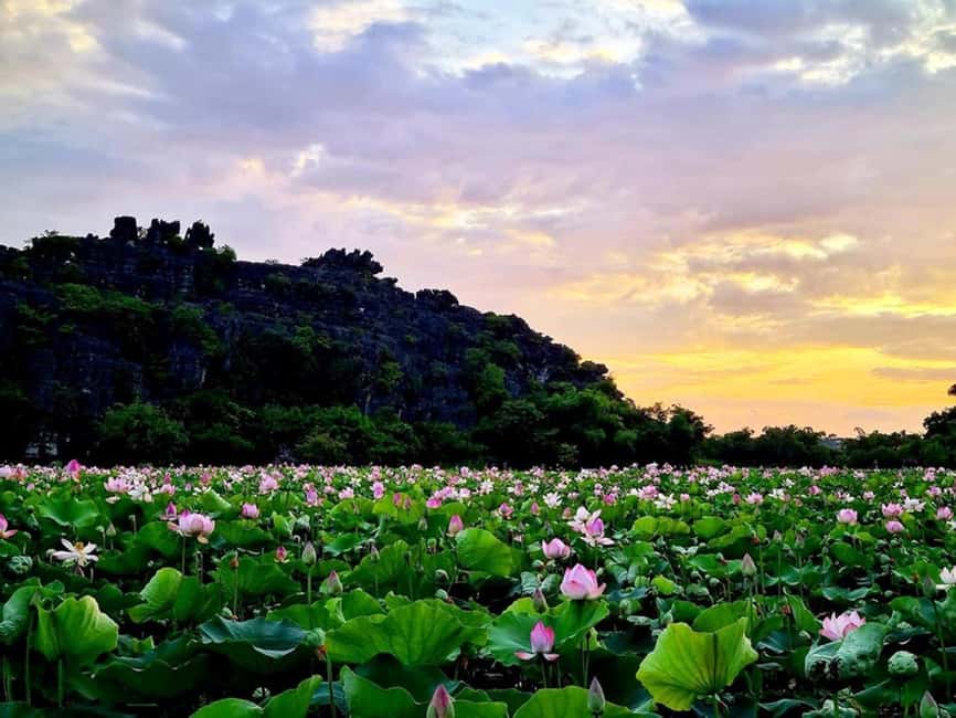 From Hanoi: Trang An eco-tourism - Hoa Lu ancient & Mua Cave - The 500-step climb at Mua Cave