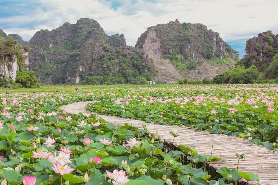 From Hanoi: Trang An eco-tourism - Hoa Lu ancient & Mua Cave - Who should book this tour