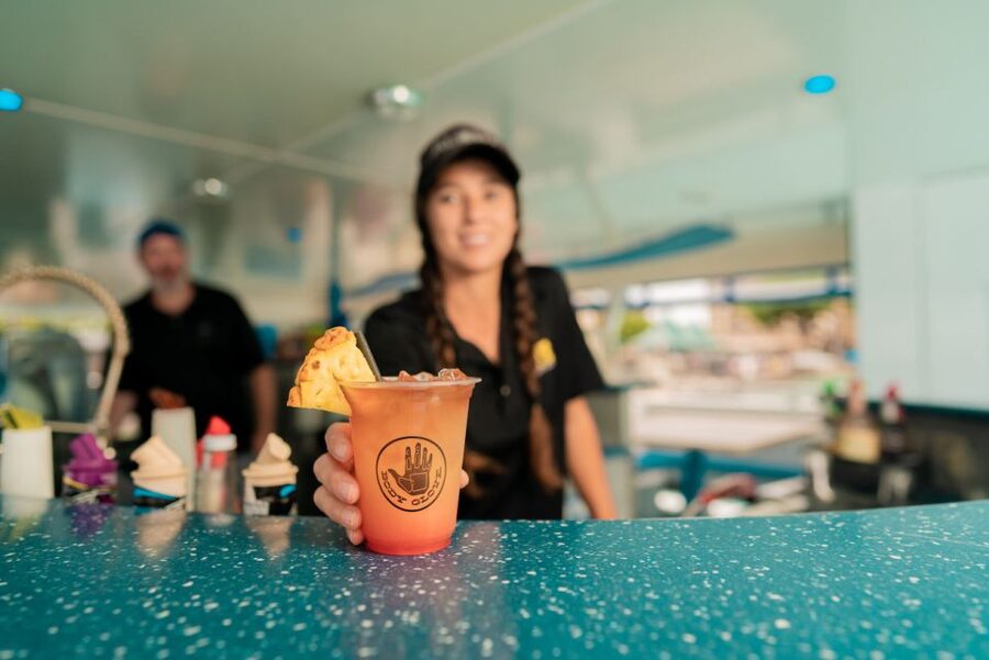 From Hawaii: Historical Dinner Cruise Tour to Kealakekua Bay - Wildlife watching from the rail