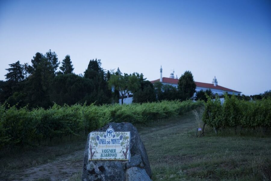 From Lisbon: Évora Wine & Heritage Tour - Guides, Languages, and the Pace of the Day