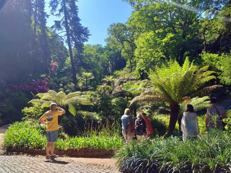 From Lisbon: Sintra's Historical and Natural Gems - What the $70 price really gets you