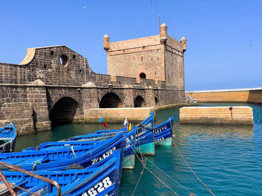From Marrakech: Essaouira Full day trip, beach and History - The Argan Oil Cooperative Stop