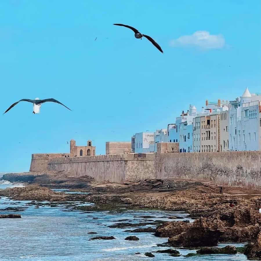 From Marrakech: Essaouira Full day trip, beach and History - Entering Essaouira’s UNESCO Medina