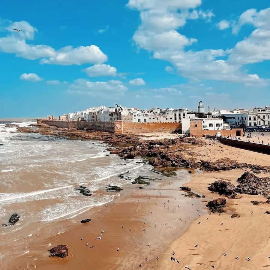 From Marrakech: Essaouira Full day trip, beach and History - What the Driver Adds to the Day