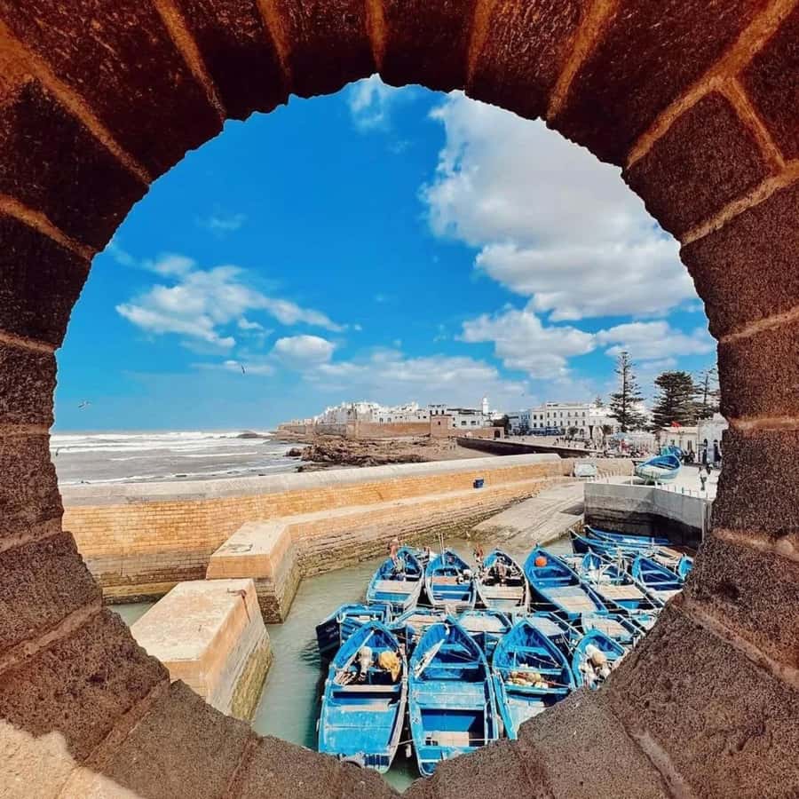 From Marrakech: Essaouira Full day trip, beach and History - Is the $16 Price Good Value?