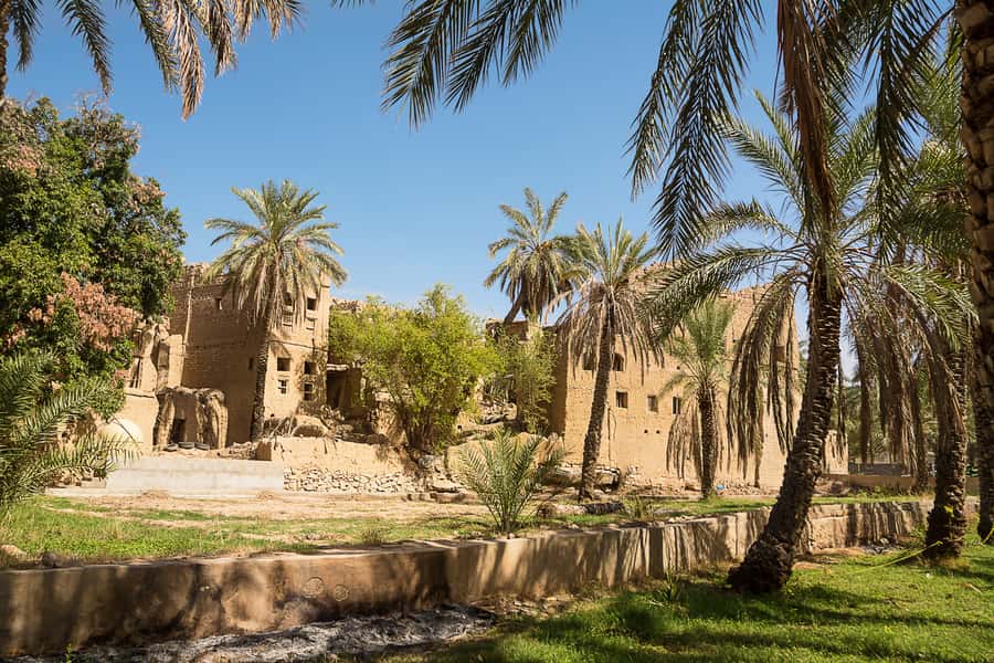 From Muscat: Nizwa and Oman's Historical Gems Tour - Al Hamra and the old mudbrick villages
