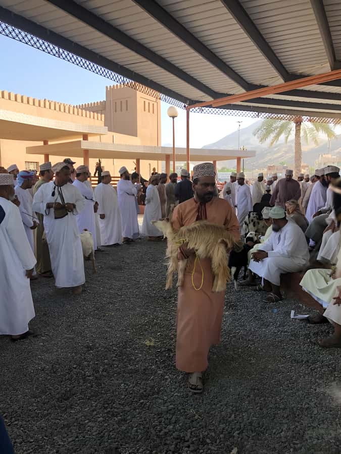 From Muscat: Nizwa and Oman's Historical Gems Tour - Guides, vehicles, food, and the human side