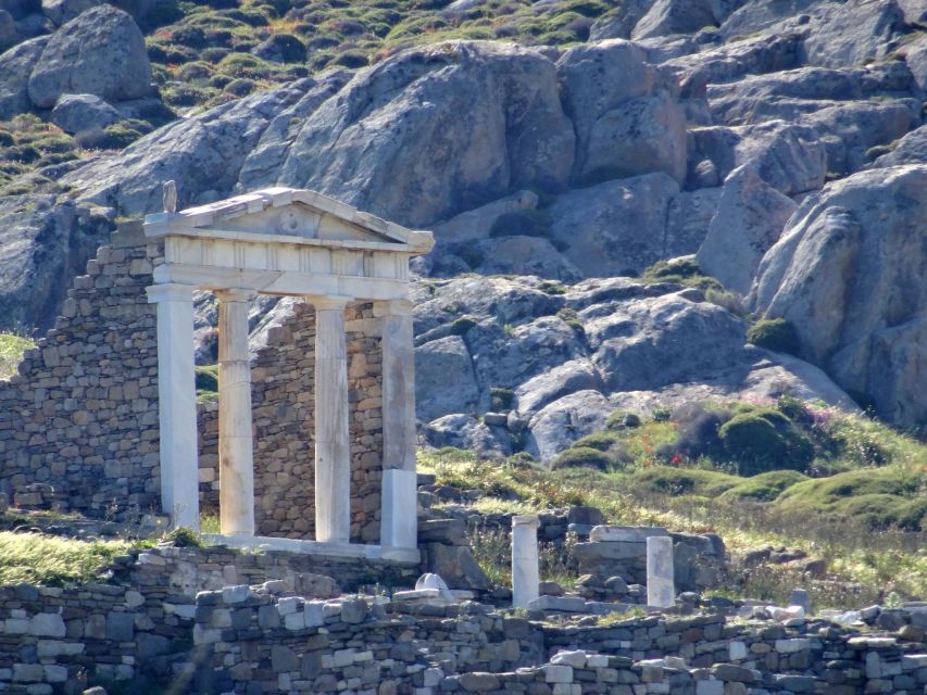 From Mykonos: Ancient Delos Tour - Key points to know before you go