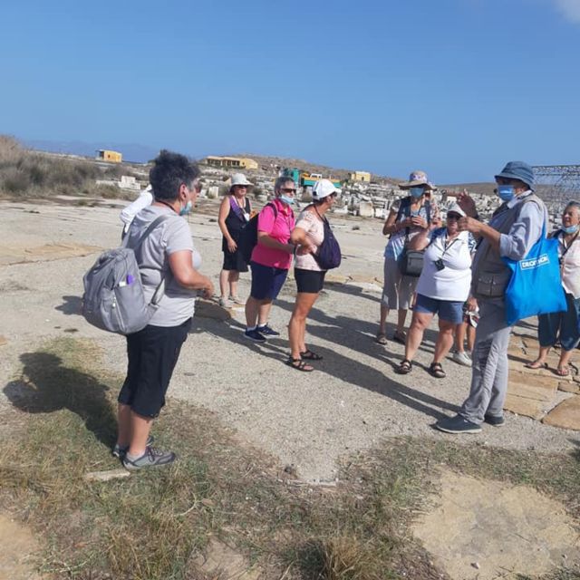 From Mykonos: Ancient Delos Tour - Is the $94 price good value?