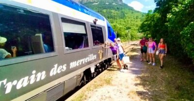 From Nice: Historic Train Ride & Alps Villages